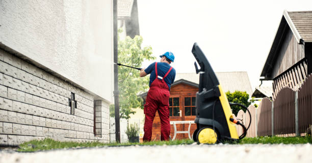Best Roof Washing  in White Pine, TN